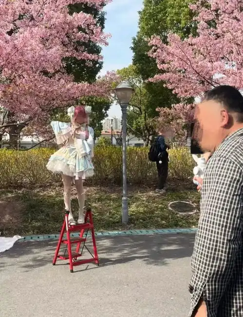 10万上海人涌入顾村公园一看傻眼每棵樱花树下,都有爬梯拍照的小姐姐