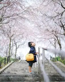 樱花树下男孩头像