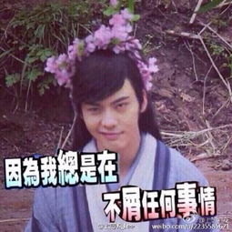  鹿晗希望女友会做饭王思聪爱大胸,就杨洋挑女友最糊涂