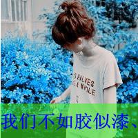  找qq头像