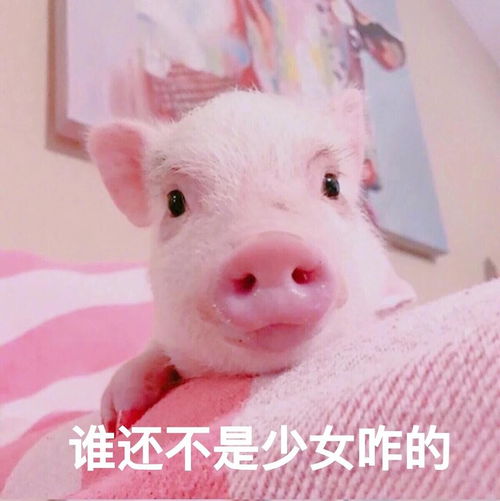 头像女生带字牛年