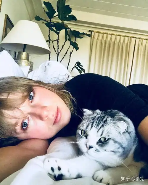 抱猫的情侣头像自拍