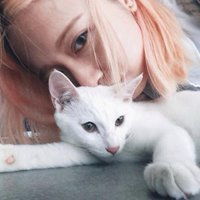 女生和小猫的头像可以当情头微信头像图片大全