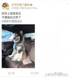  王思聪爱犬王可可不见,悬赏百万准备请假去找狗