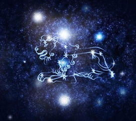  你是这周钱财爱情两开花的星座吗