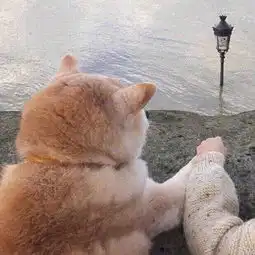  情侣头像谁有另一半