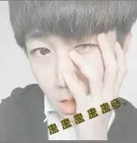  ir微凉灬护卫天佑