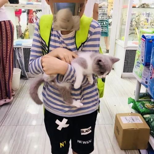  自闭症男孩与猫我的频道,只有你听到