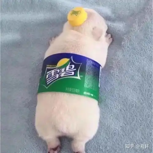  一组情头暴击持续更新