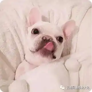  高原特色产品交易会暨七夕美食狂欢节爱心接力第一季
