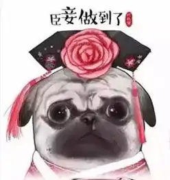  文明养狗的宜兴人,你家的狗狗中奖了本周日请注意查收内附名单