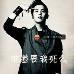  相信自己l的美拍