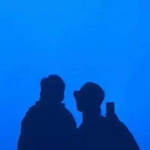  情人节丨你会不会刚好也喜欢我