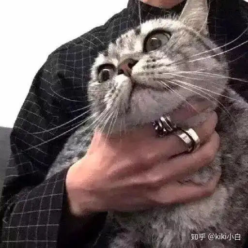 抖音情侣头像一男一女动