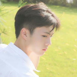 小清新男生头像公式