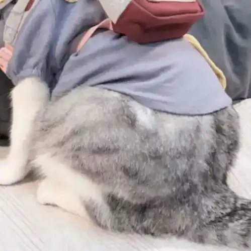  男朋友比你还白是什么体验