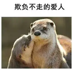  情侣头像另一半