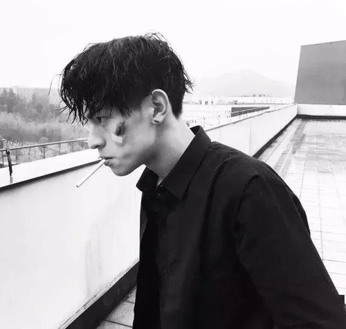  一批超赞微信头像