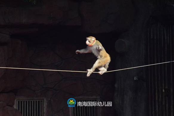  bb长鹿农庄亲子乐