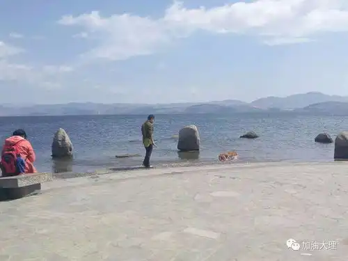  强烈曝光继越野车在洱海冲浪之后,有人居然在洱海里遛起了狗图