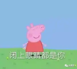  社会人小猪佩奇不知道我有多火你已经抛弃同龄人成为老龄人了