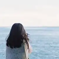  红岩上梅花开