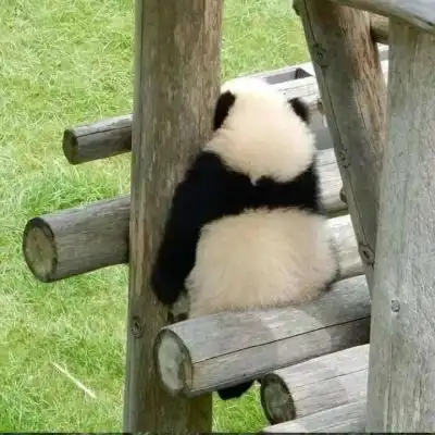  女生头像好评榜