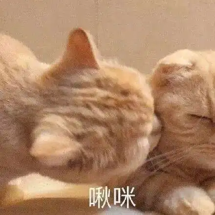 情侣头像vs单身头像