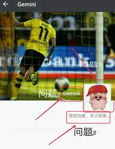  我拒绝了,一个小猪头像的微友