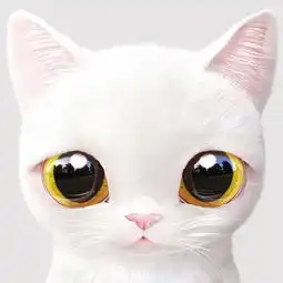 猫咪情侣头像一左一右头