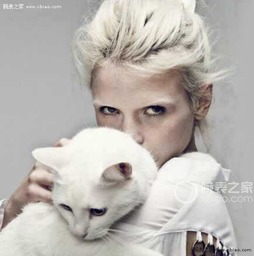  女人和猫竟然有关系猫眼系列揭秘女人的性格