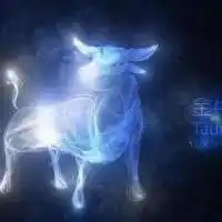  情人节,十二星座怎么过