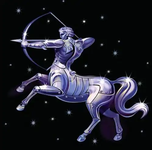  我是射手男