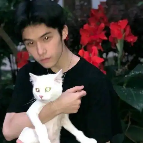  收割招财萌猫头像,好运气100000000000
