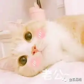  老师,你说了跟没说一样