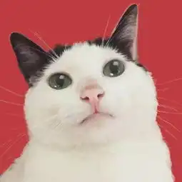  情侣头像