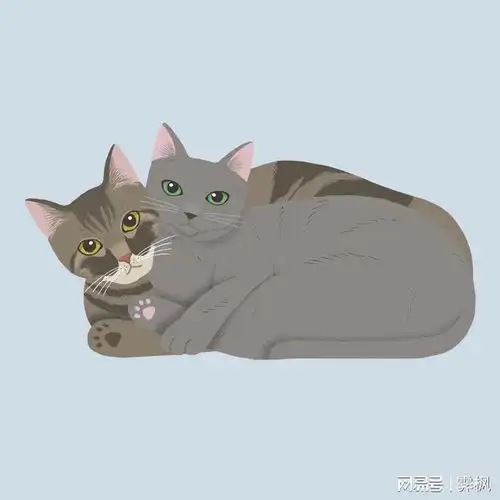 猫的情侣头像皮肤