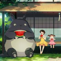  龙猫头像超萌萌萌的龙猫我的爱