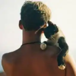 有关于猫的情侣头像男人