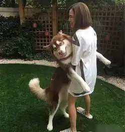  最星闻赵子易和王思聪的关系是亲戚吗