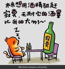  人生歪理,值得一看