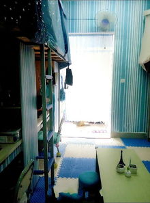  成都高校小清新女生寝室走红8103178