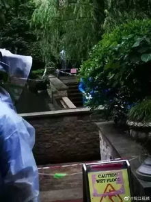  心碎两名女孩在小区玩耍时突然身亡元凶疑是...这东西尤溪公园最常见