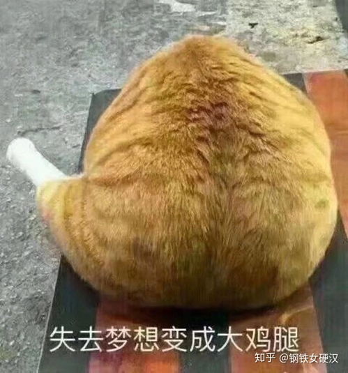  为什么有些女孩子喜欢有钱的大叔