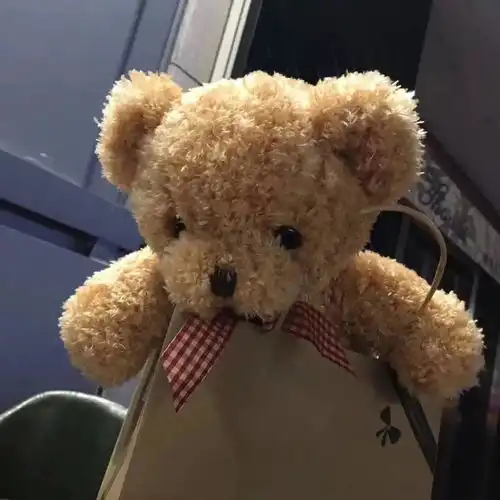  背景图委曲求全不是公主的作风