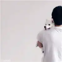 情侣头像二人专用犯二