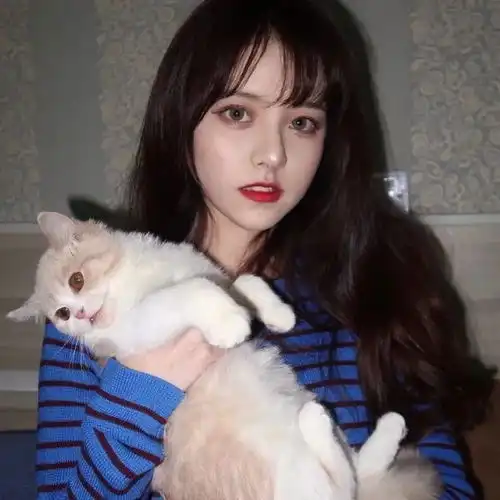  抱猫咪头像太赞了