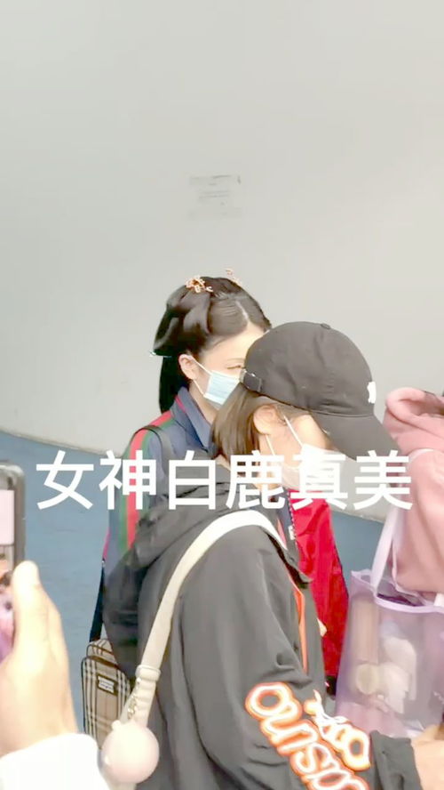  白鹿的男粉丝激动的骂人,估计女神白鹿也伤心了