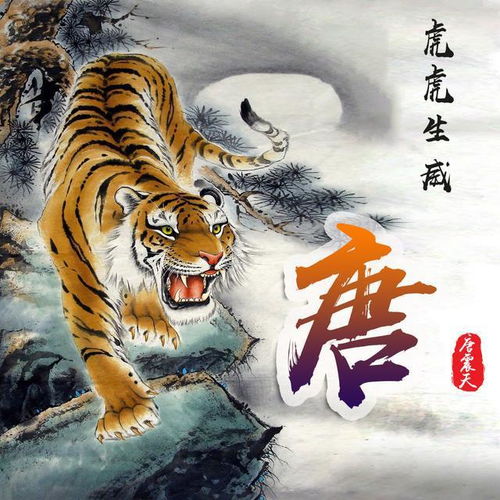  霸气虎虎生威姓氏微信头像,属虎的进来把你的姓氏领走