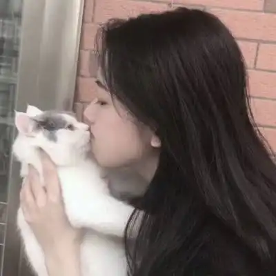 猫的情侣头像貂蝉